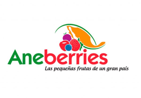 We are participating on the 13th edition of the Aneberries International Congress