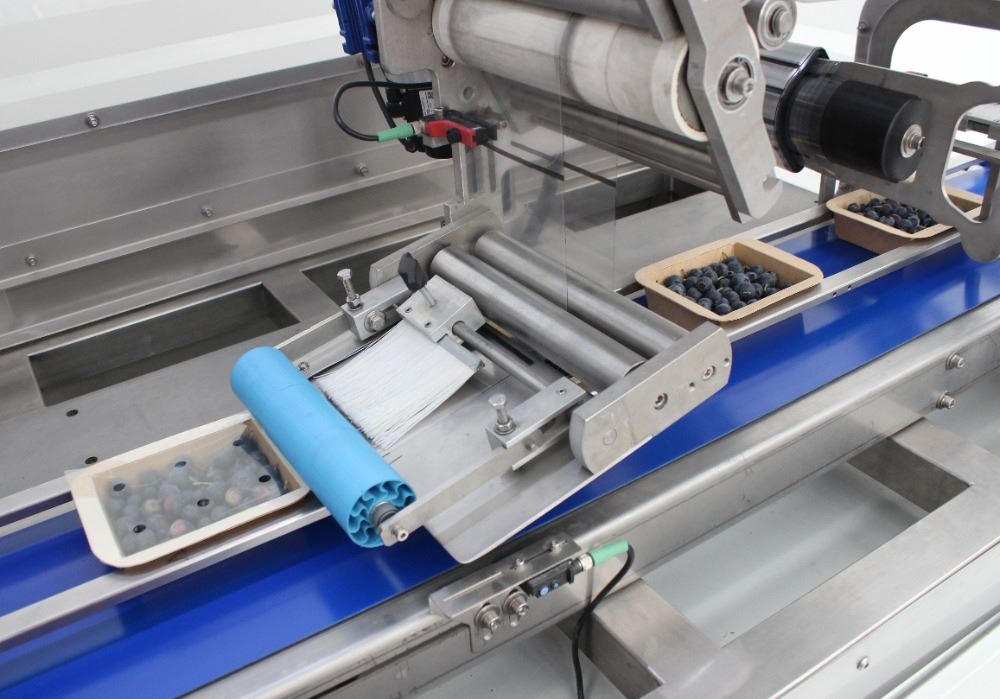 Seal Label con tarrina de cartón