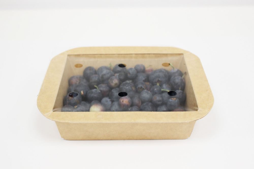 Seal Label con tarrina de cartón