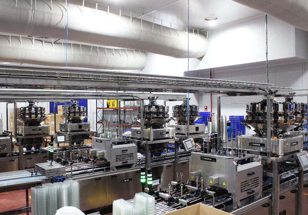 Packaging lines for blueberries