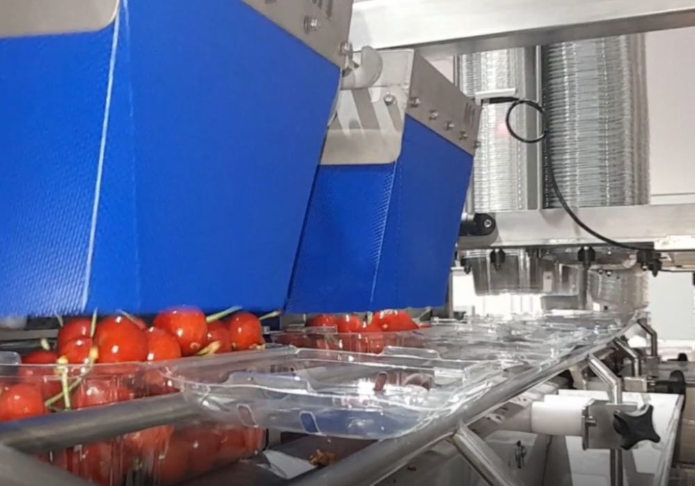 Clamshell Trays for the packaging of Cherries