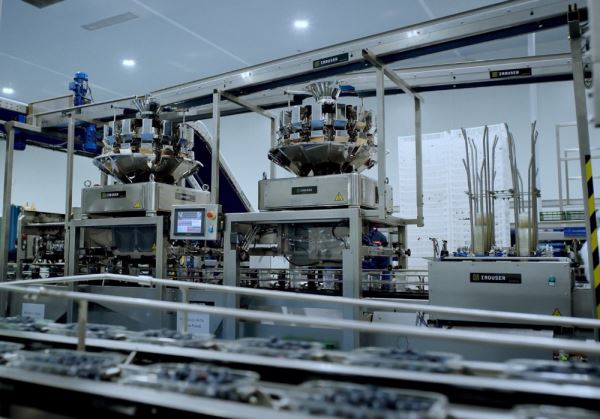 Hortifrut confía en las líneas de envasado de arándano de INDUSER