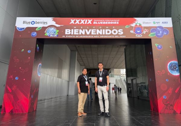 INDUSER at Blueberries Consulting Lima 2026: Weighing and Packaging Solutions for Blueberries