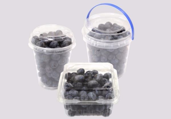 Packaging trends for blueberries rapidly evolving
