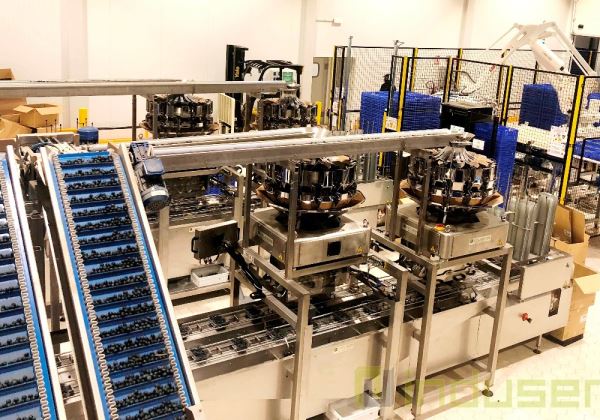 Europe's largest blueberry packing facility is in Huelva, Spain