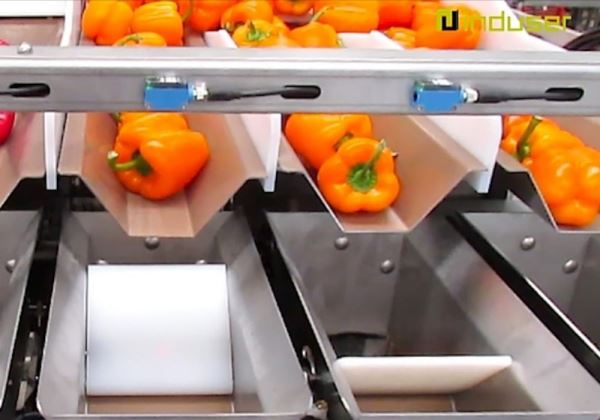 Three colors pepper packing machine