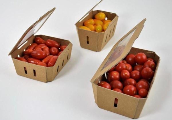 Induser Presents its Tomato Novelties in the I Global Tomato Congress Edition