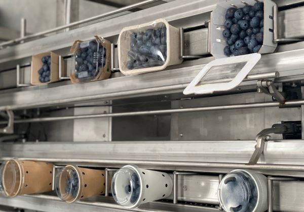 INDUSER launches the sustainable blueberry packing machine. BLUE 3R PACK . 