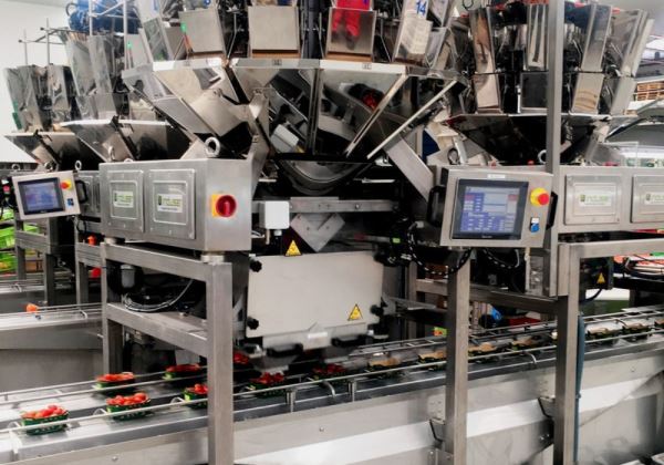 Induser Installs Largest Automated Packaging Line for Organic Spanish Cherry Tomatoes