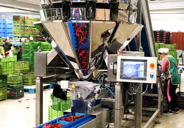 Induser develops a specialty hot pepper packing line