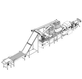 CHERRY TOMATO AUTOMATED LINE