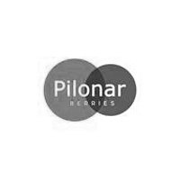 Pilonar