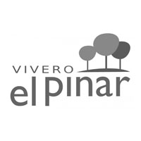 Vivero del pinar