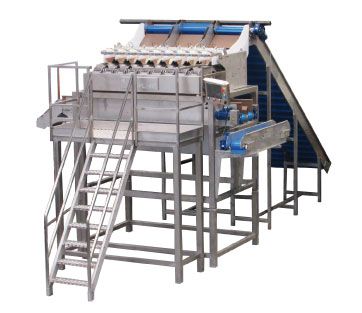 LINEAL WEIGHERS